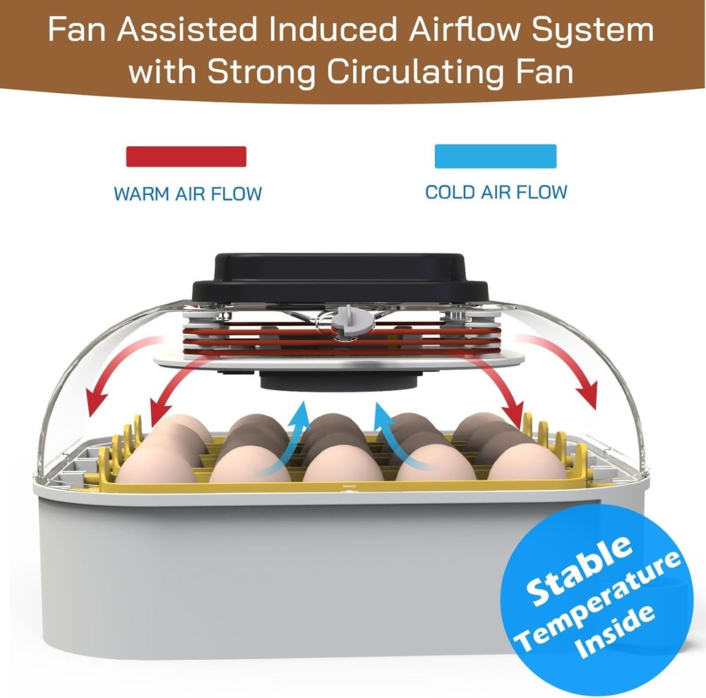 20 Egg Incubator with Humidity Display, Egg Candler, Automatic Egg Turner, for H