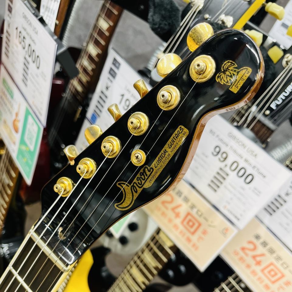 Moon Moon Teletype Order Model