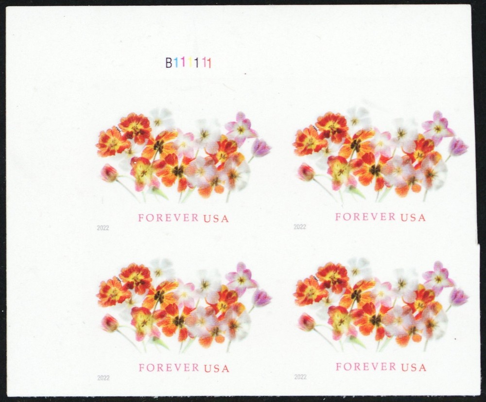 5681 Var, Mint NH RARE Die Cutting Omitted Error Plate Block * Stuart Katz