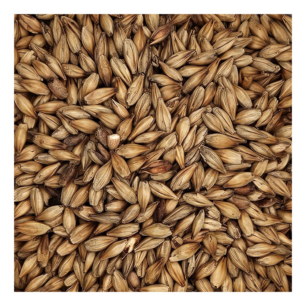 Home Brew Ohio CaraRed Grain 10lb