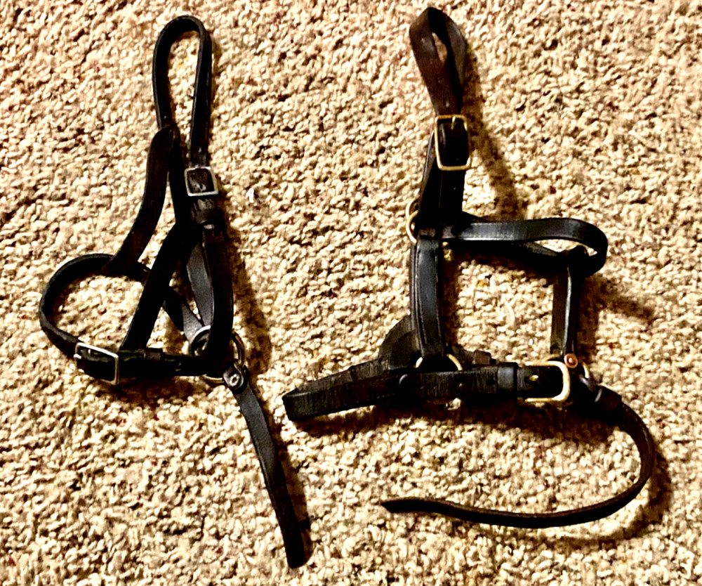 2 LEATHER NEWBORN SUCKLING FOAL HALTERS