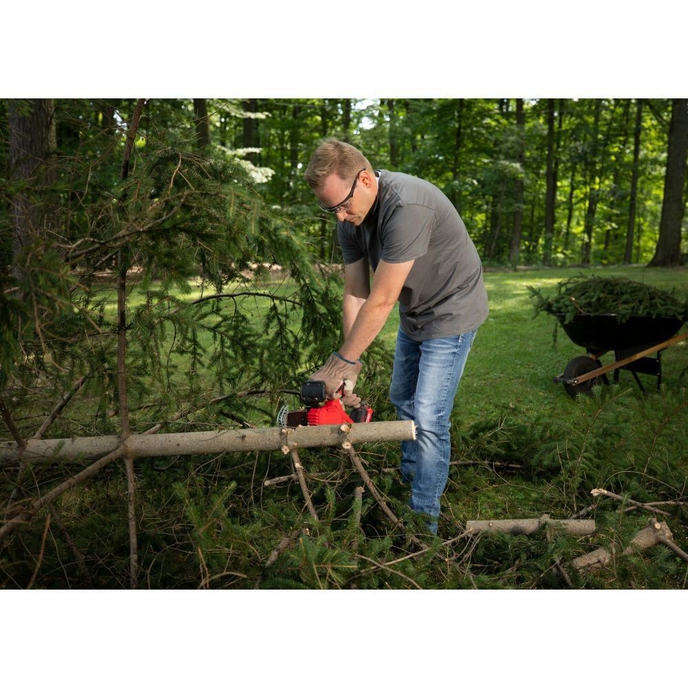 CRAFTSMAN V20* Cordless Pruning Chainsaw 2 Ah Kit-CMCCS320D1