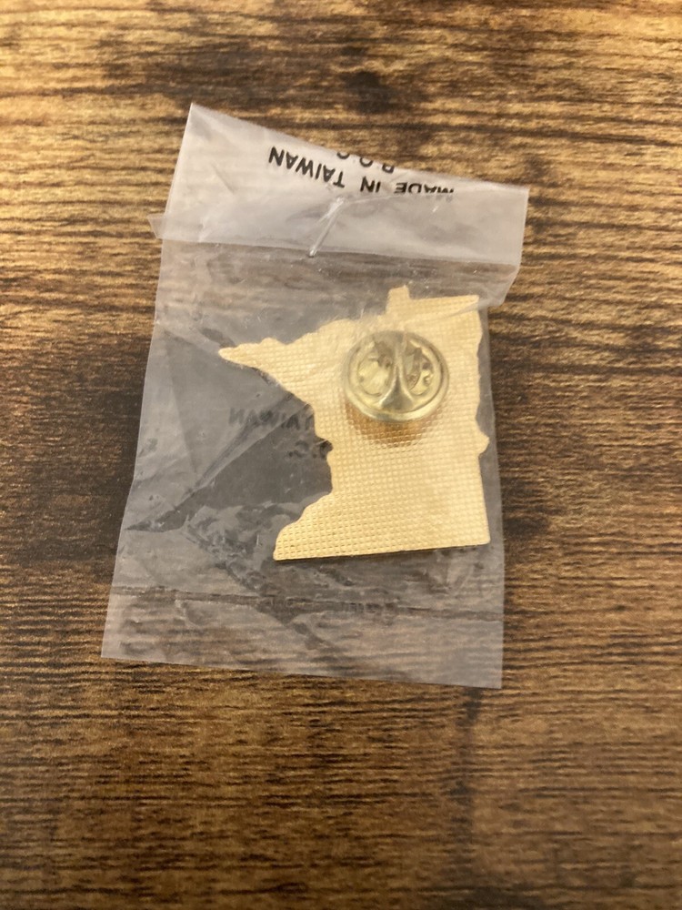 1998 North Star Eagle ICBO Pin - Minnesota - Rare Oop