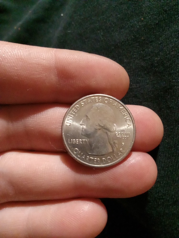 2019 P River Of No Return Quarter