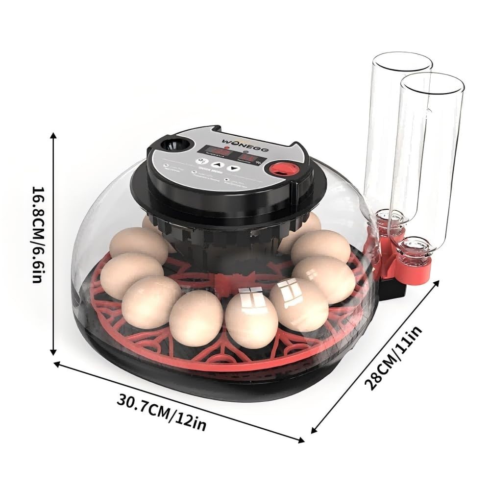 incubators for hatching eggs，12 Egg Incubator,egg incubator with automatic eg...