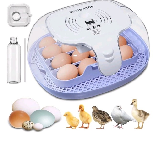 16-Eggs Digital Incubator , New Open Box.