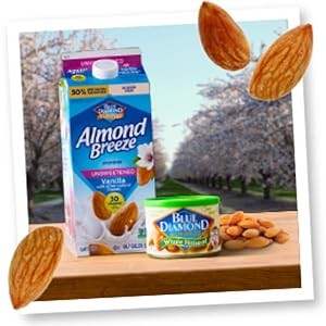 Dairy Almondmilk, Unsweetened Chocolate