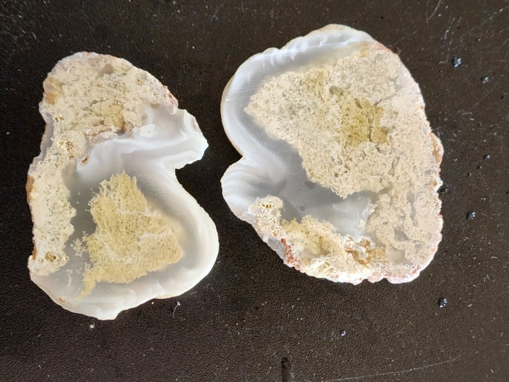 Agate Slabs Pair With Plume