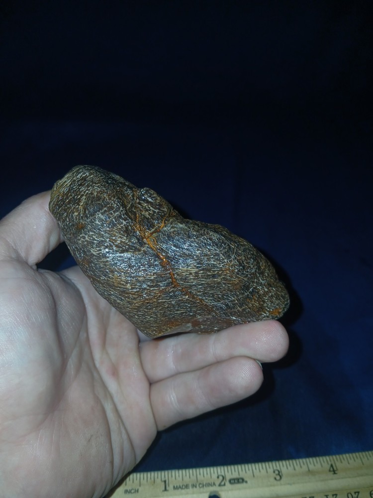 16 oz Texas Petrified Wood