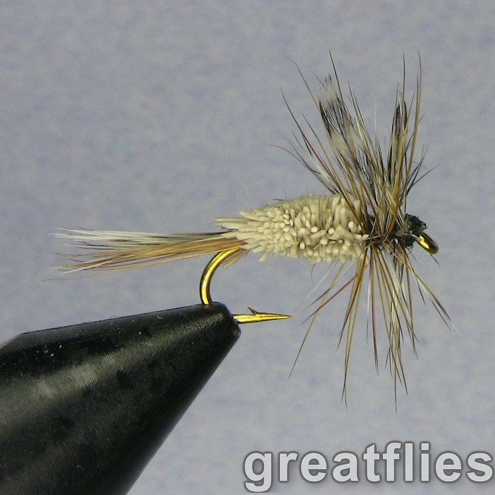 1 dozen (12) - Irresistible Adams