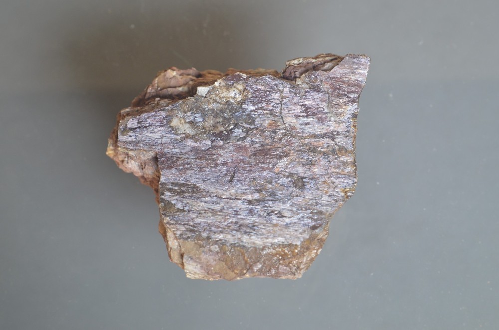 Fossil Dinosaur Bone Cast