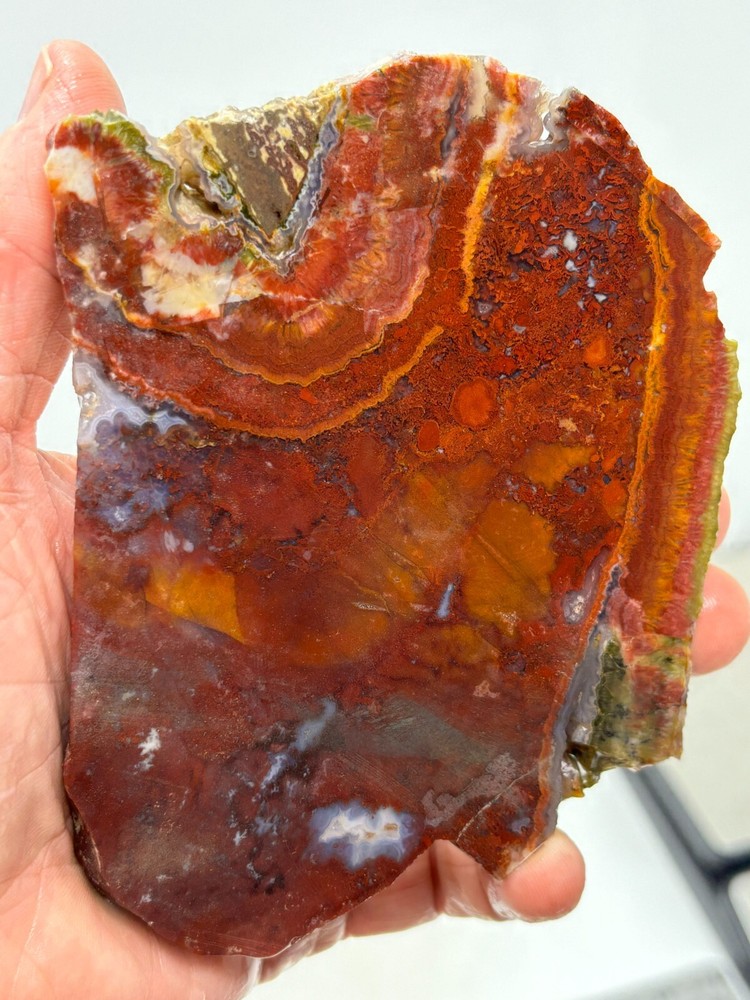 Mexican Cathedral Raspberry Agate Slab Cabbing Lapidary Combo Ship Avail