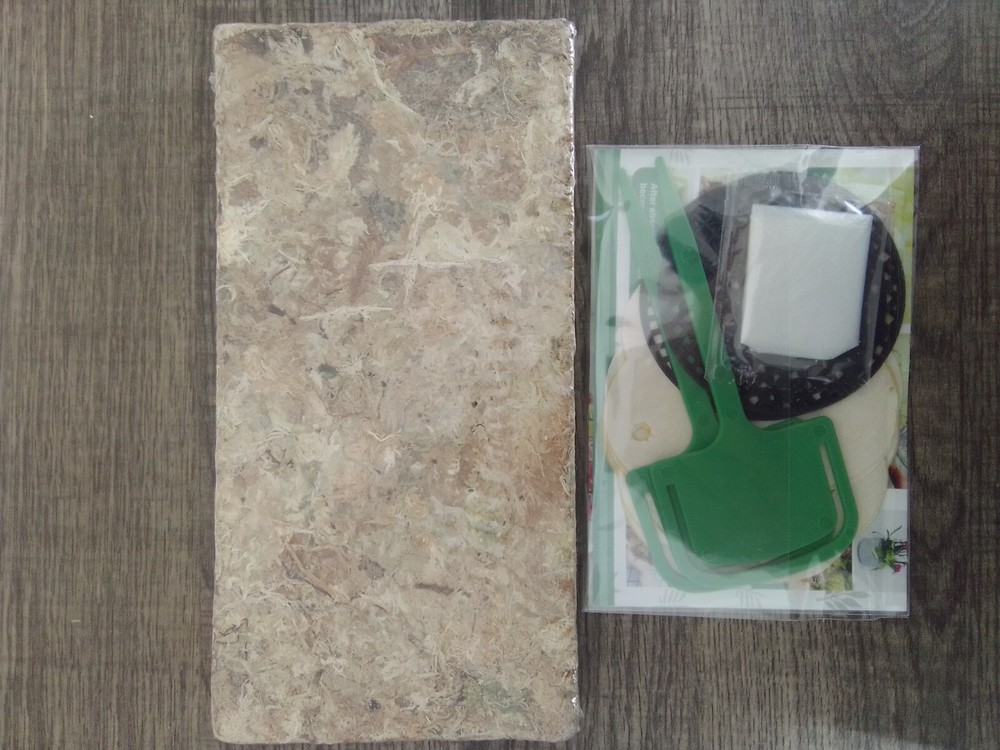 2 Pack Sphagnum Moss, 100gr High Quality,With Gifts
