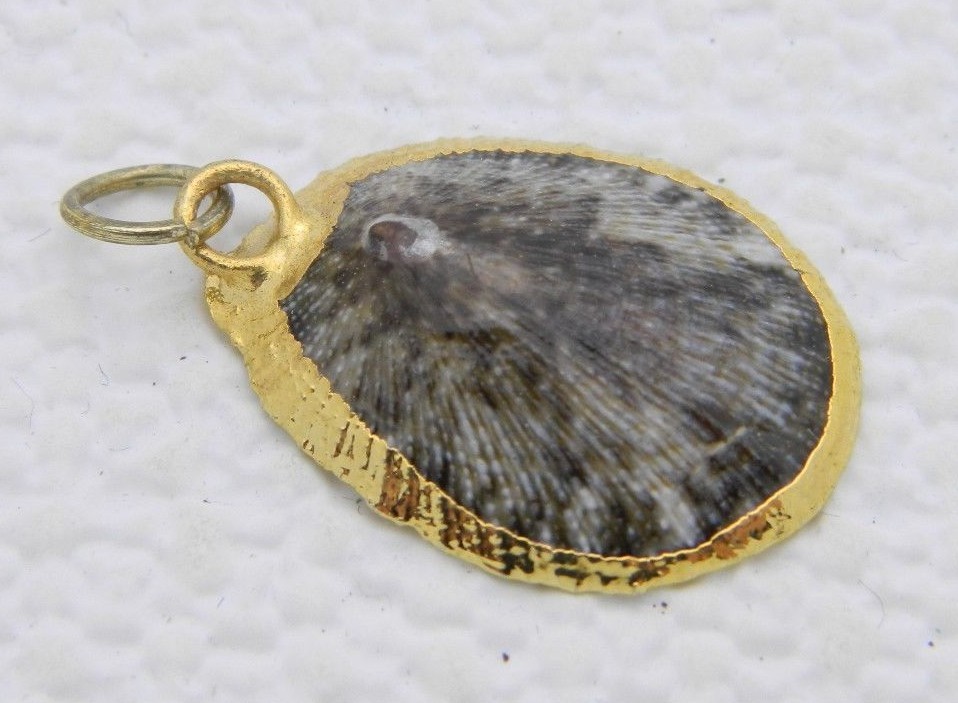 VTG Gold Toned Accented Brown Spotted Shell Pendant