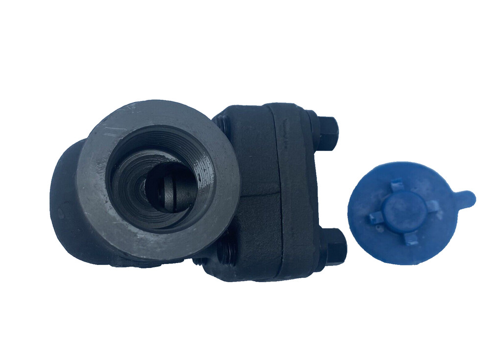 PCN800TE1 Socket Weld End & Threaded End Forged Steel Piston Check Valve 1"
