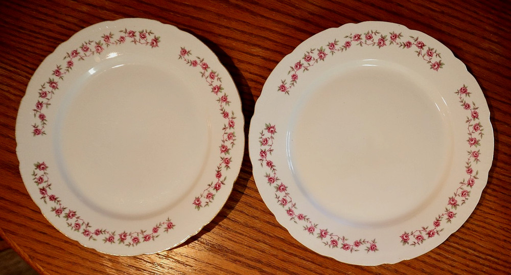 2pcs Bohemia "ANTOINETTE" Pattern Czechoslovakia Dinner Plates ~ 10 1/4"