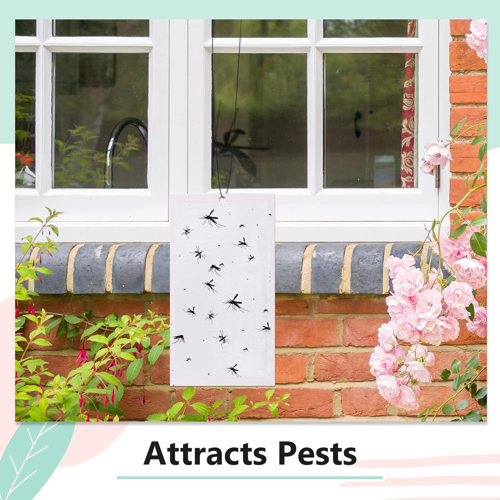 20 Pack Replacement Fly Glue Boards, Compatible with Gardner Flyweb Fly Classic