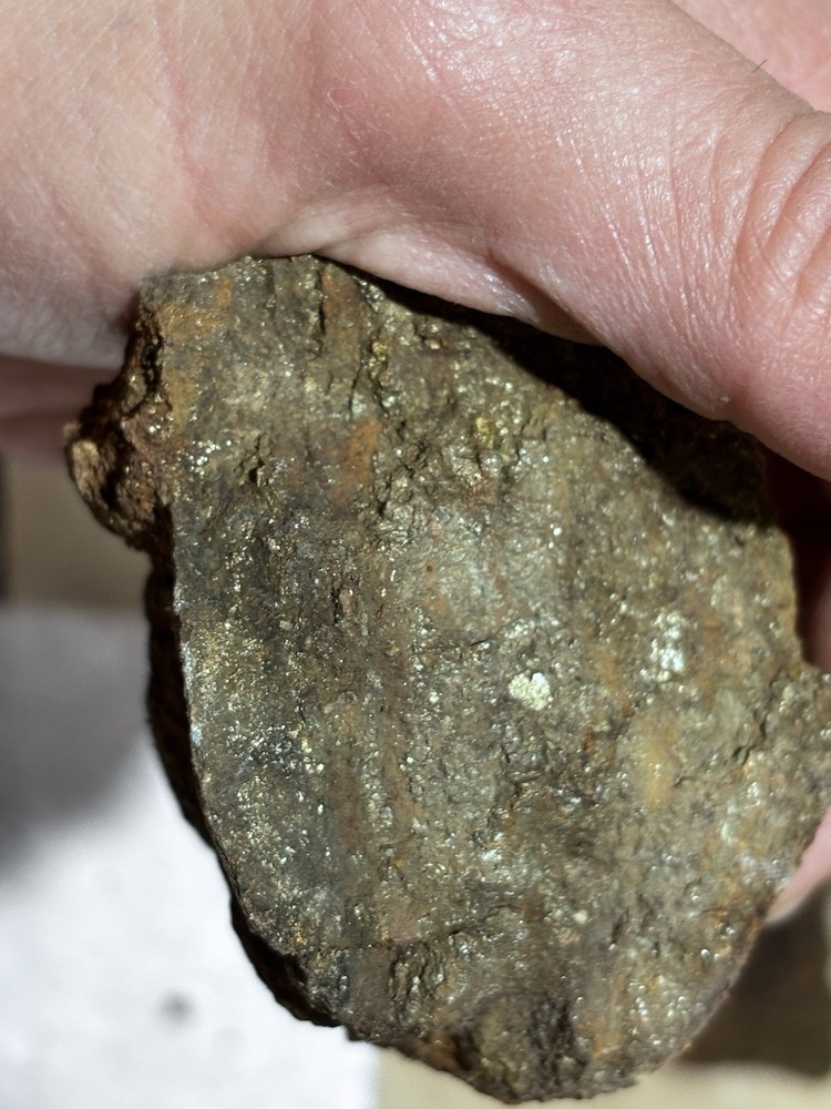 rich az silver and gold ore