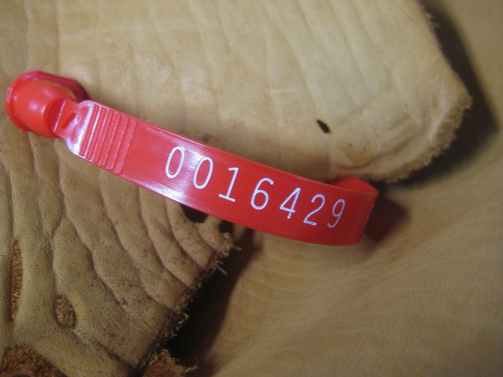 Cow Leather # 0016429 Row 39