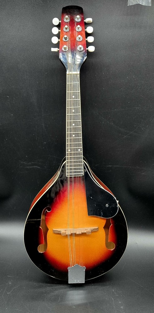 New York Pro Acoustic Sunburst 8 String Mandolin