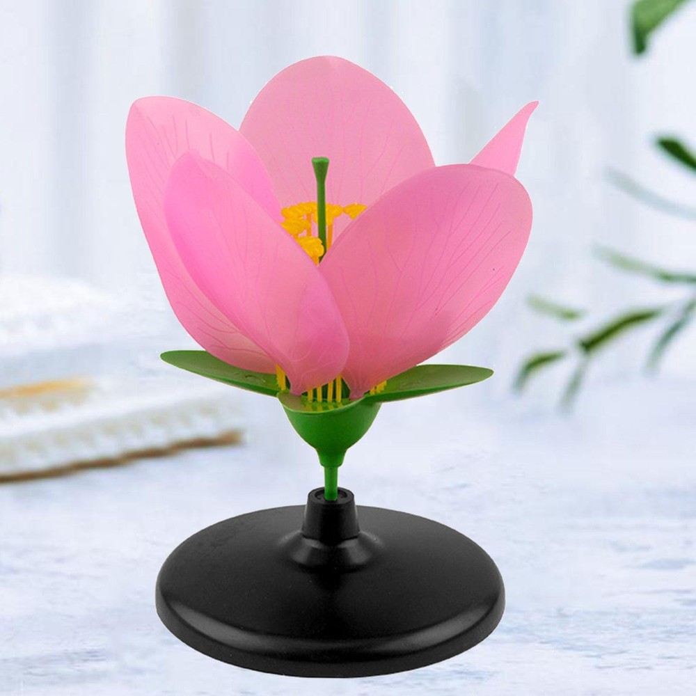 Peach Plant Model Petal Structure Realistic Desktop Decor Teaching Aid for