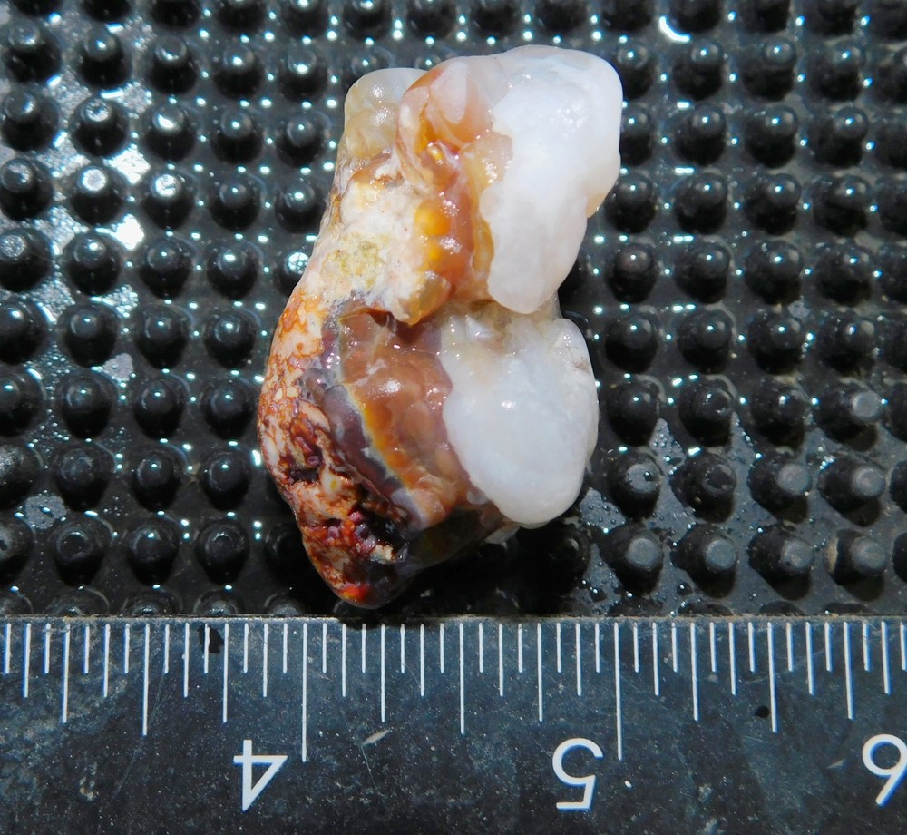 botryoidal Aguascalientes Fire Agate lapidary cabbing rough chunk Mexico 36 gram