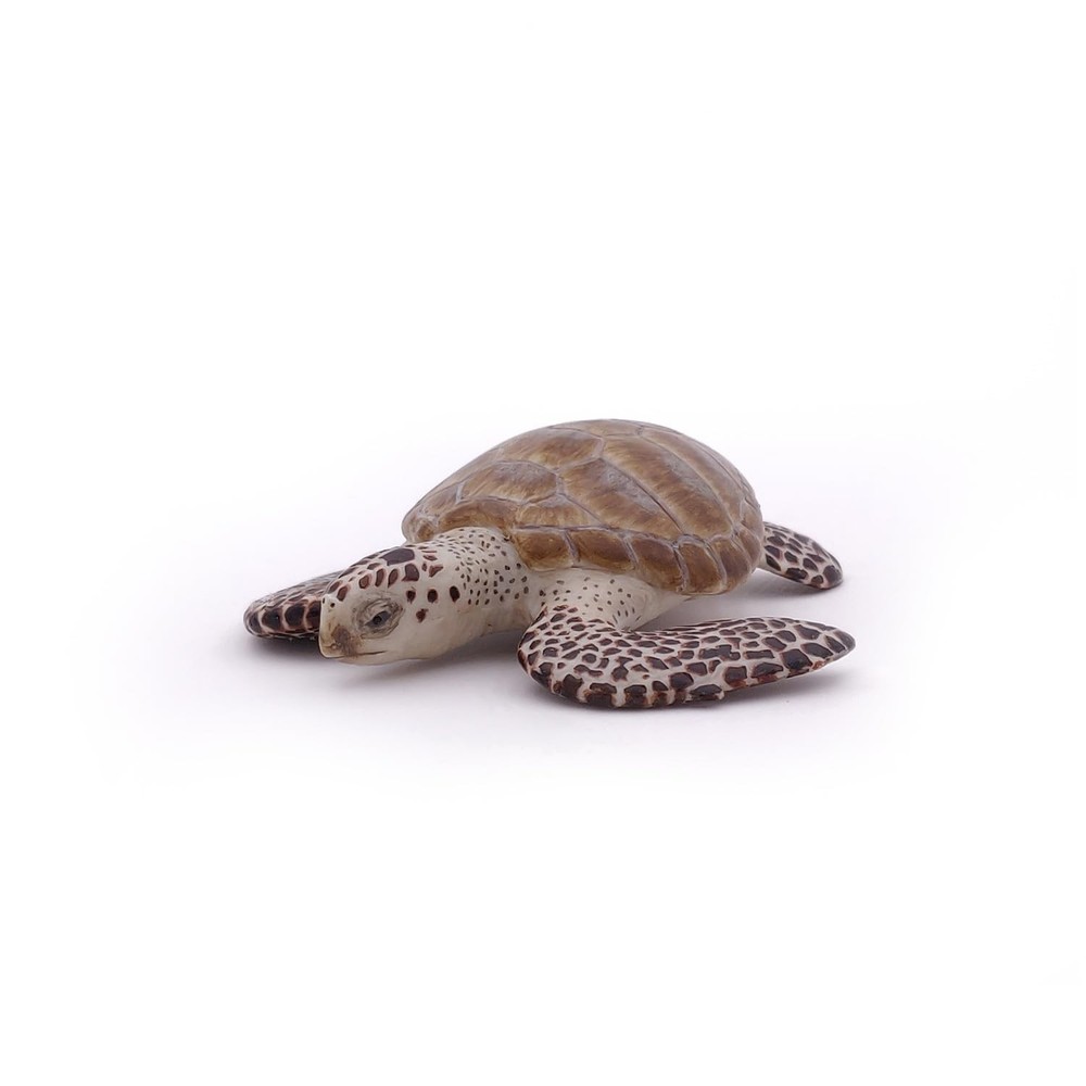 Papo - Loggerhead Turtle - from 3 Years Old - Marine Life Small, Multicolor