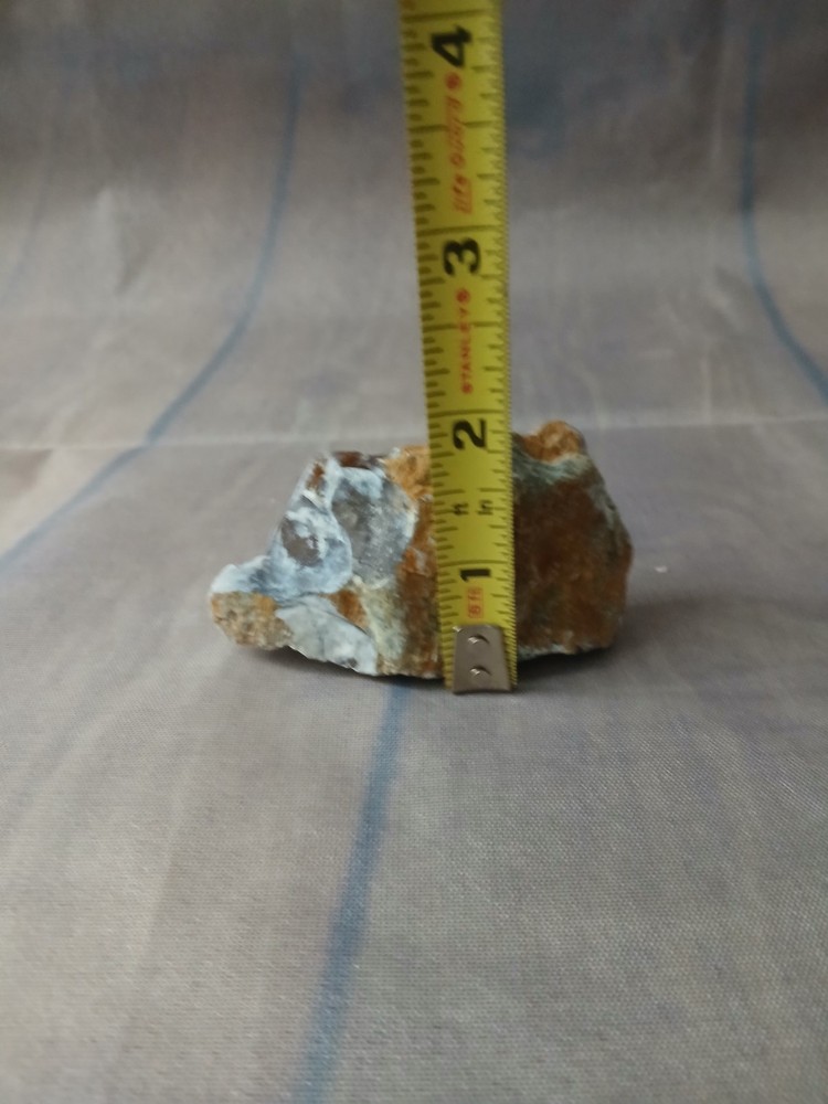 Petrified Wood Small