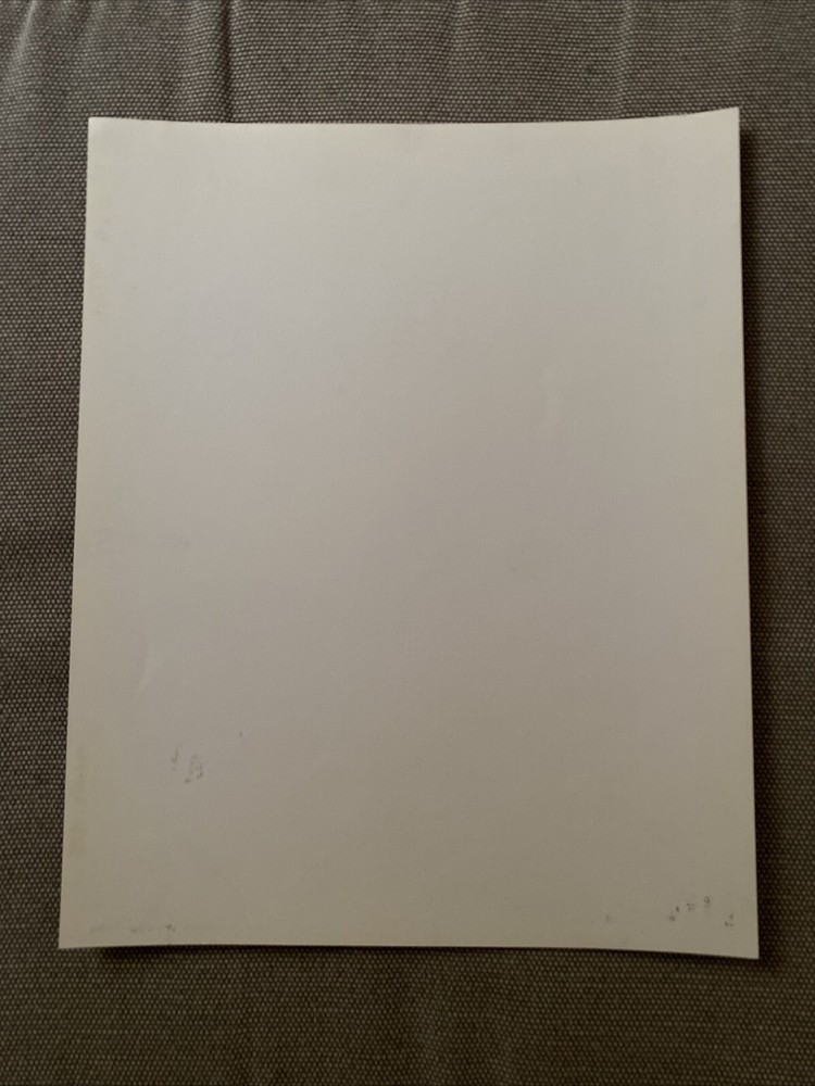 Stereo Total Press Photo 8x10”.