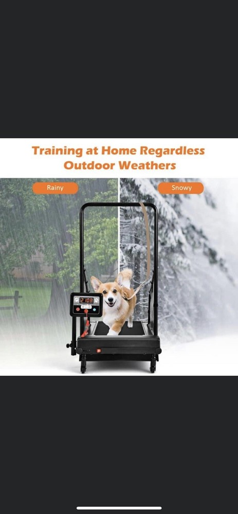 dog exercise equipment
