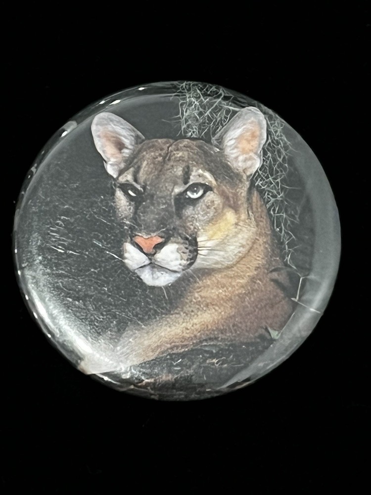 Vintage Florida Panther Button Pin