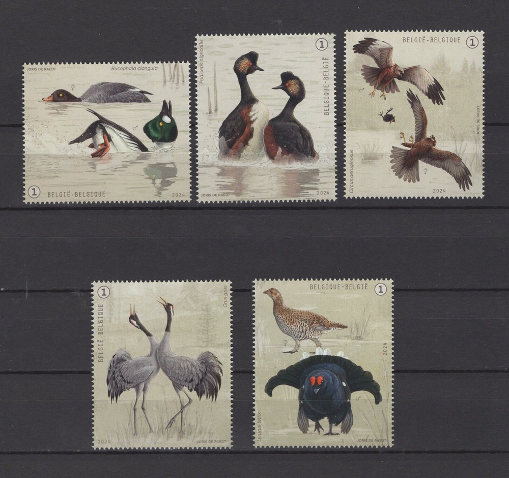 BELGIUM 2024 birds  MNH** 5221/25