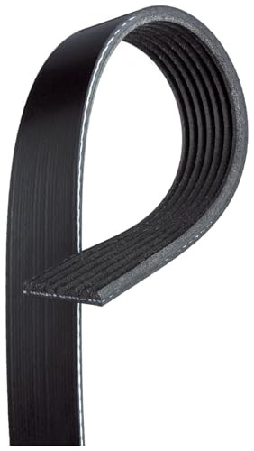 K070750 Belt