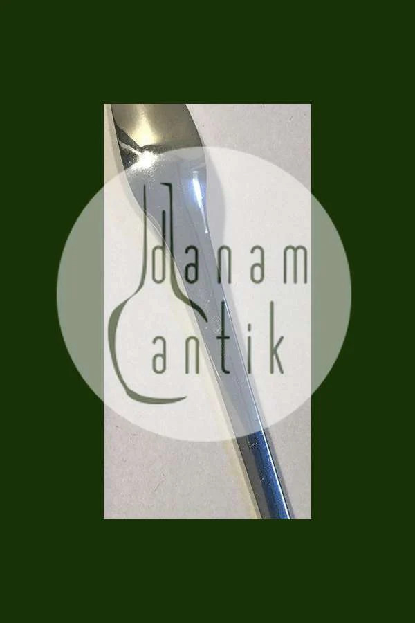 Georg Jensen Sterling Silver Caravel Meat Fork