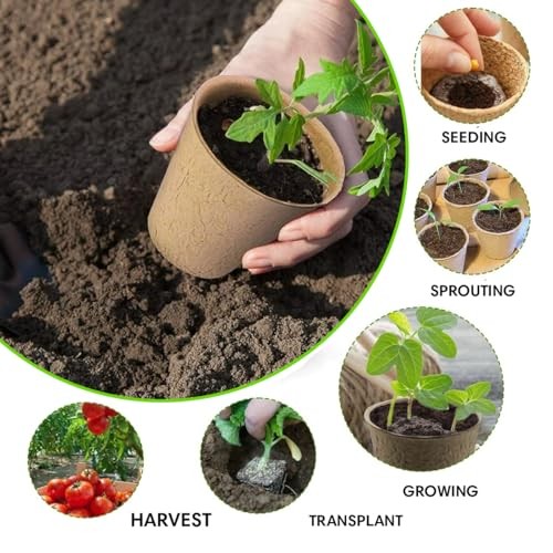 Seedling Starter Kit Germination Grow Cups and Soil (0 Pack) Biodegradable 1