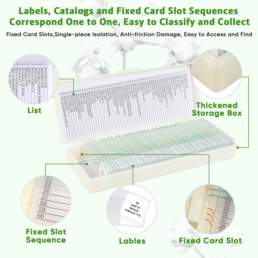 60 Microscope Slides with Specimens,Prepared Microscope Slides for Kids,Glass...