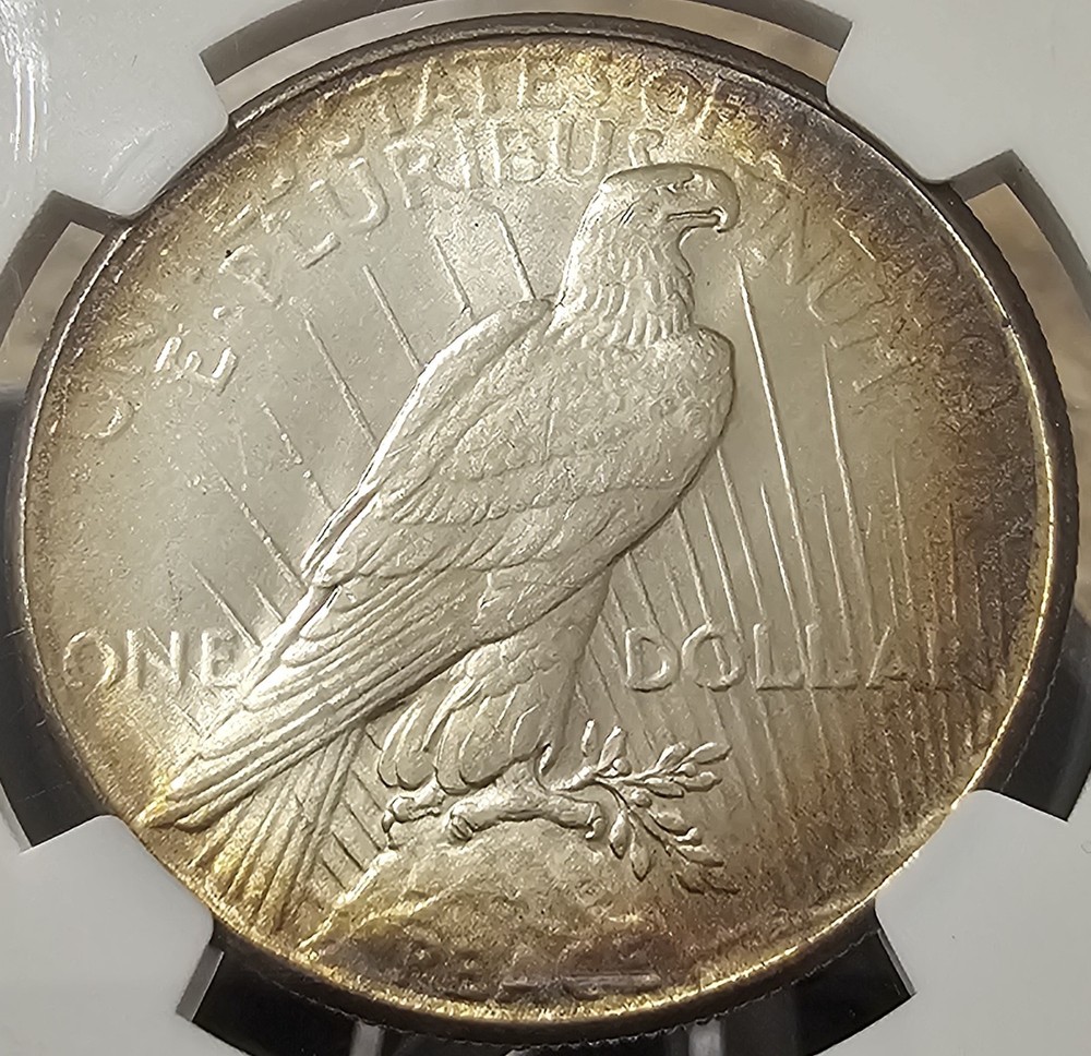 1926 Peace Dollar MS-65+ NGC VIDEO