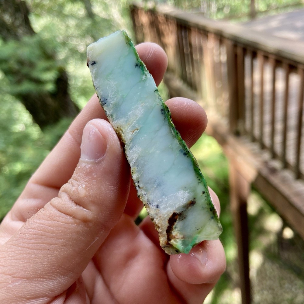 Blue Chrysoprase Rough 1.46 Oz