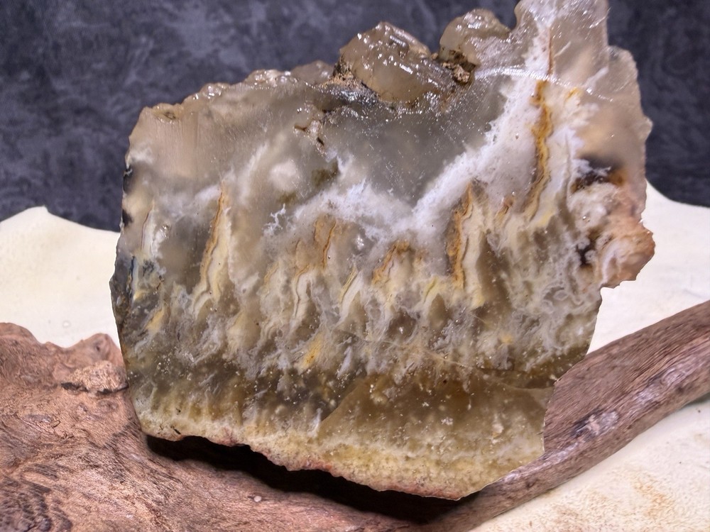 Faced Owyhee Plume Agate Rough, Lot#75
