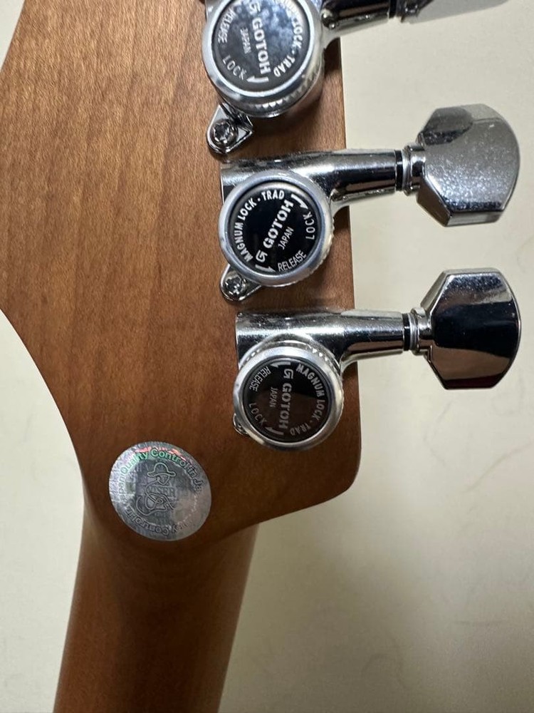 Bacchus GX-2DX RSM roasted maple electric guitar