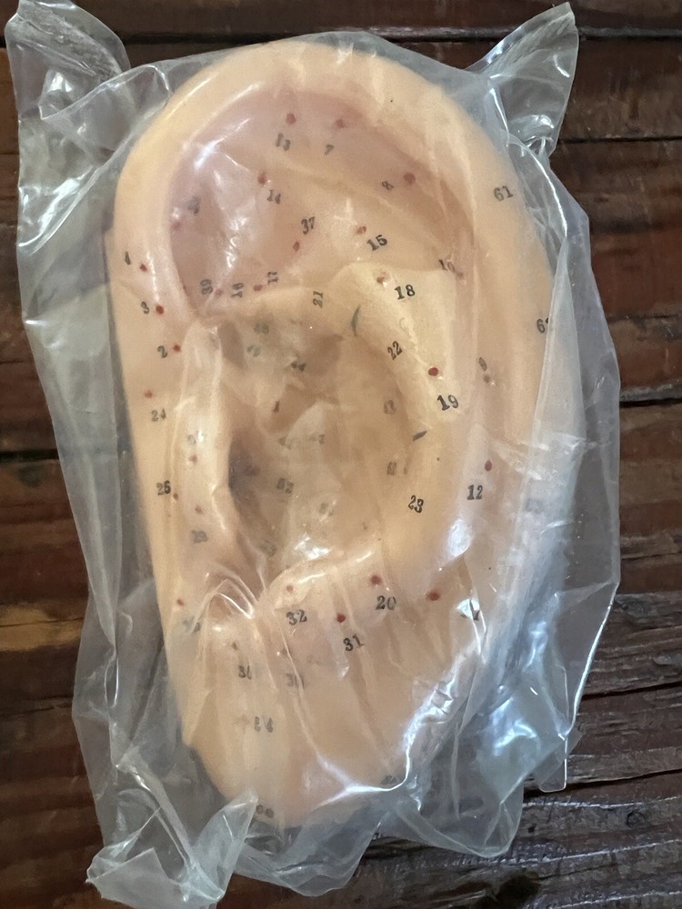 Vintage Ear Models Showing Acupuncture Points - Shanghai China