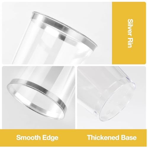 10oz Plastic Cups for Party, Disposable Silver Plastic 100PCS 10oz Silver