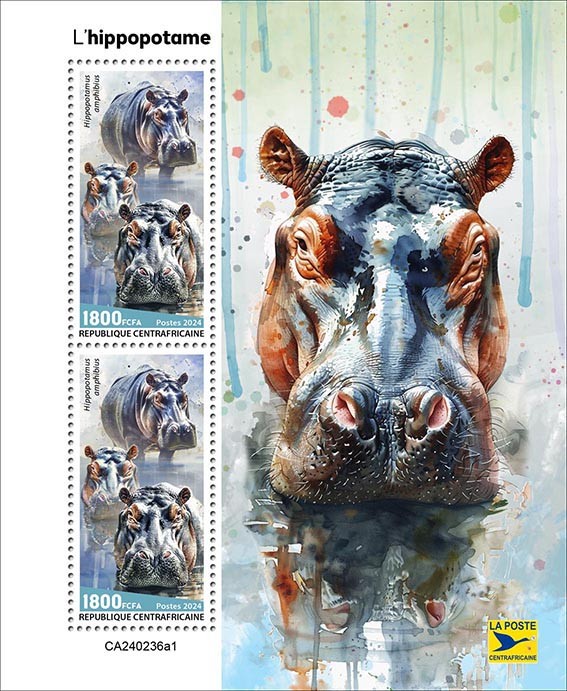 Hippopotamus