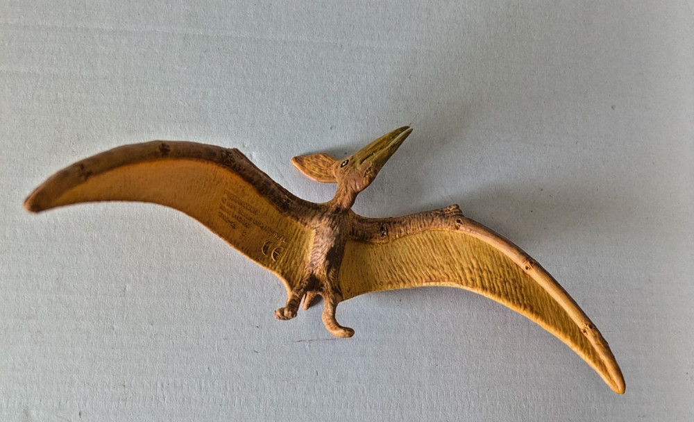 1999 Pteranodon Figure Toy Safari Ltd Dinosaur