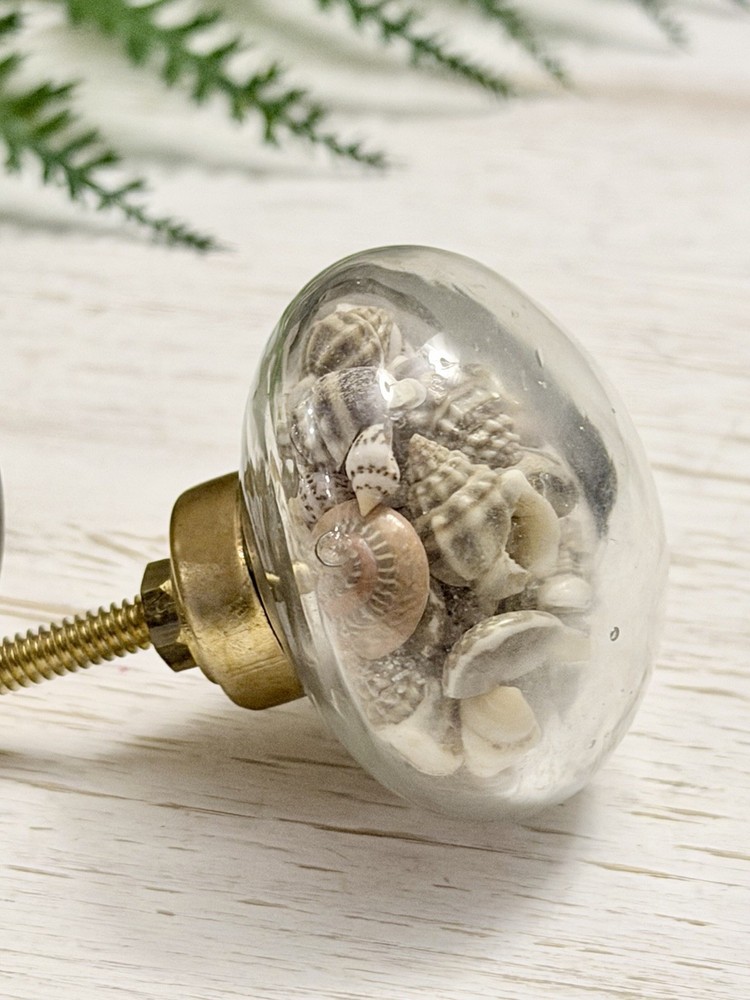 1 Seashell Filled Glass Drawer Pulls Knobs Cabinet Nautical Beach Decor Hardwar