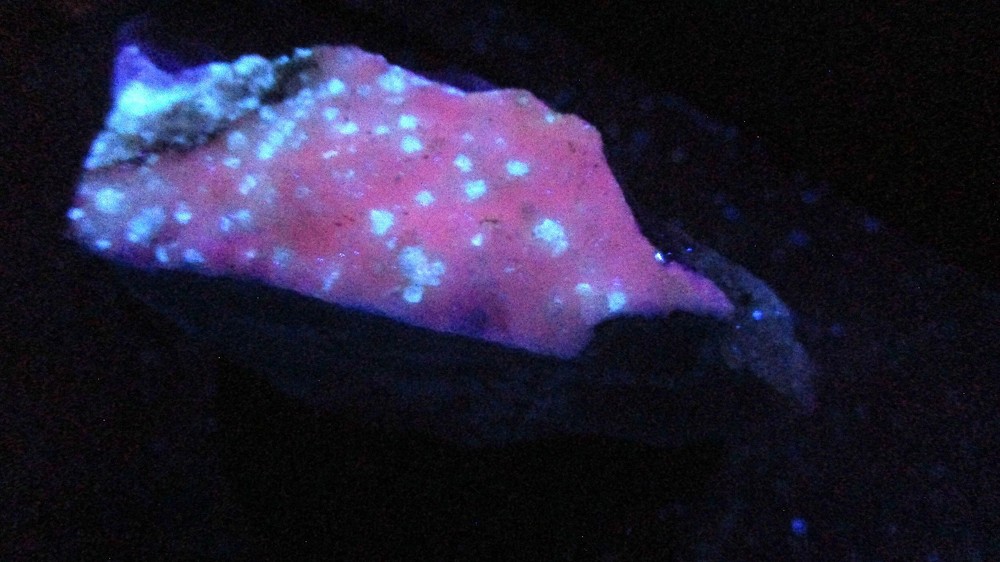 Fluorescent Red Phosphorescent mineral rock T35