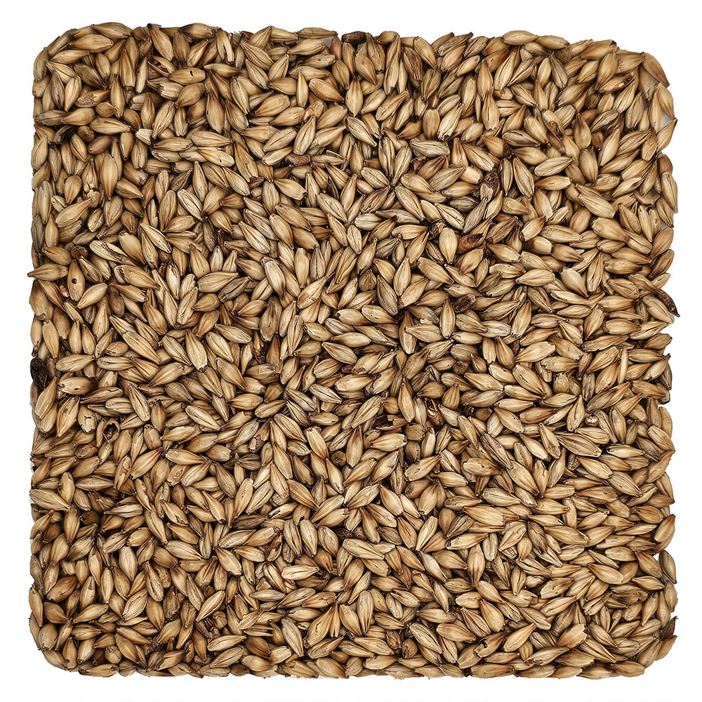 Home Brew Ohio Carapils Grain 1lb