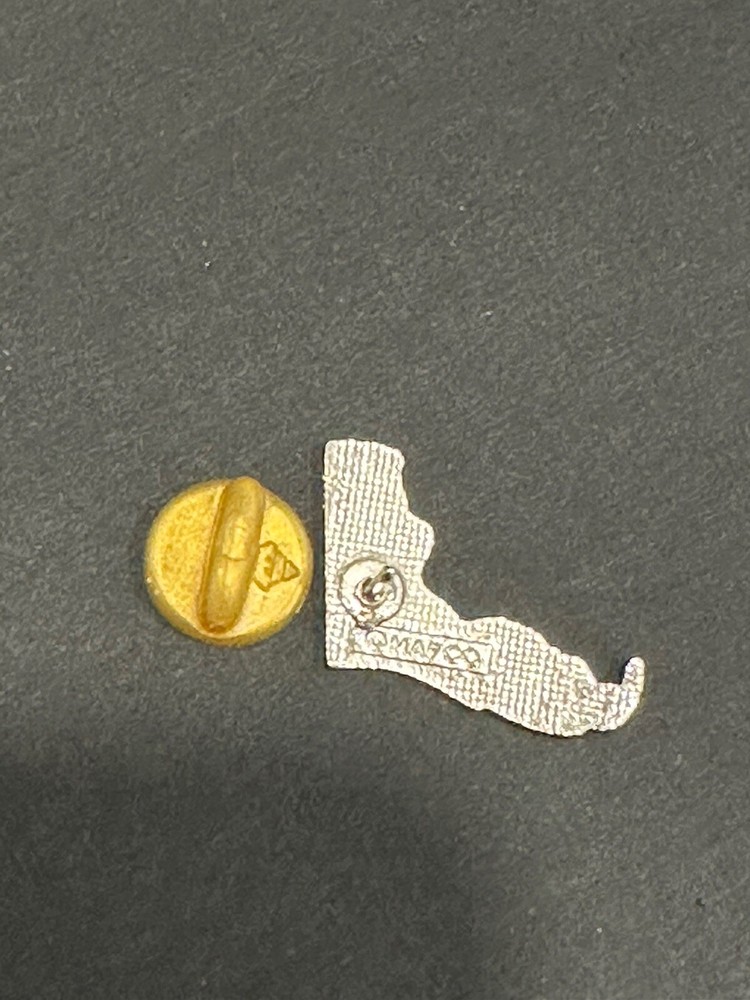 Florida State Shaped Enameled Lapel Pin Sun Rays And Ocean