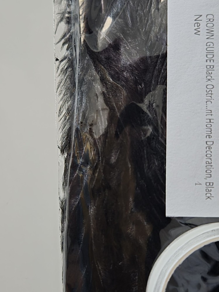 CROWN GUIDE Black Ostrich Feathers Bulk - 10 Pieces Making Kit