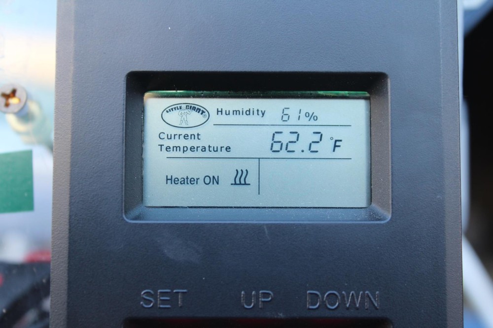 LITTLE GIANT RAT TESTING TRAP